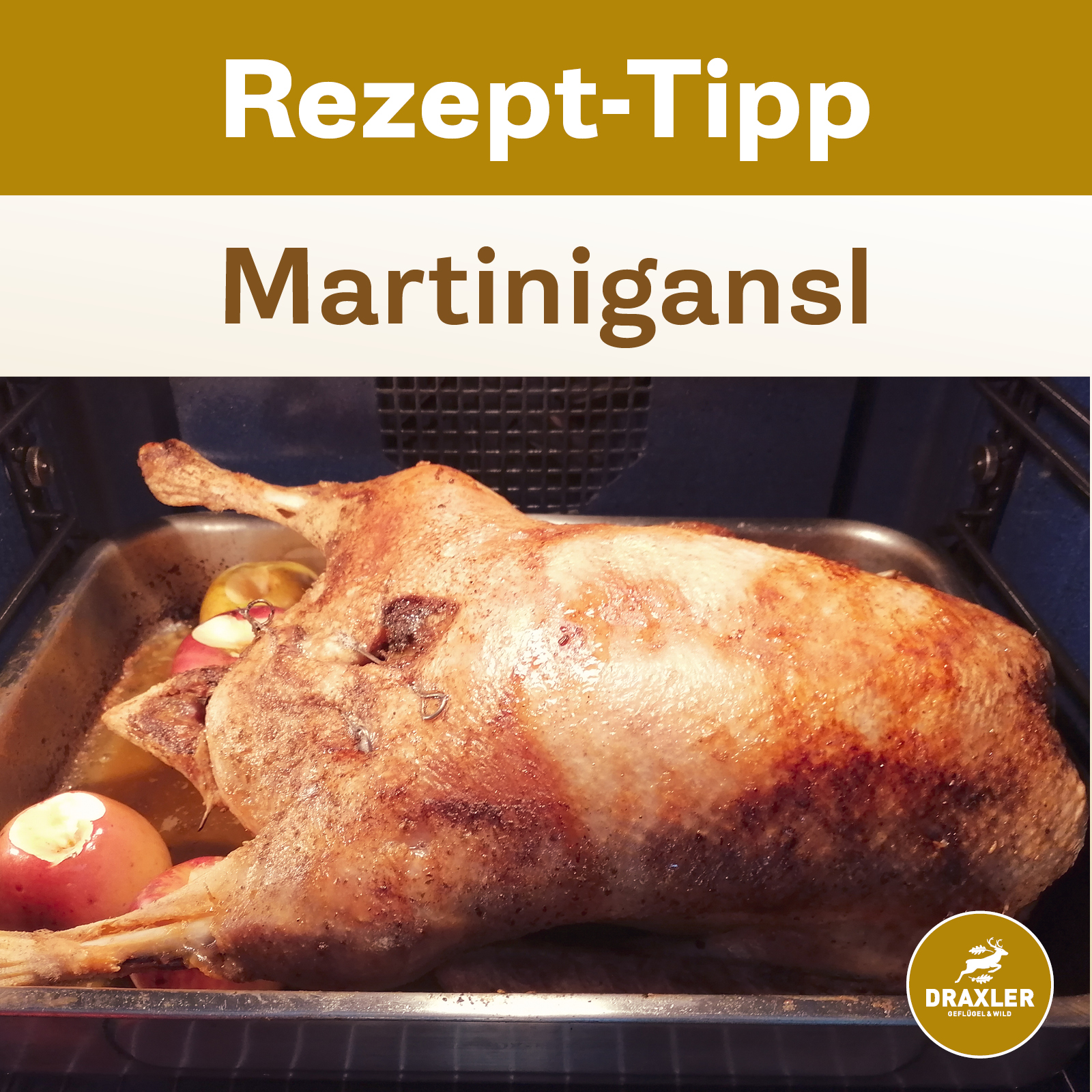 martini gans_rezepttipp Gebratine Weidegans aus Österreich